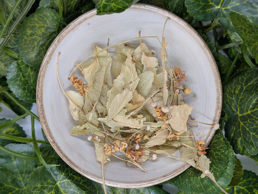 Feuilles et Fleurs de Tilleul
