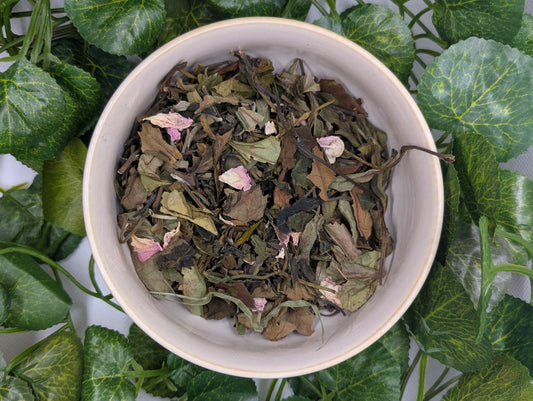 Thé blanc - Rose Blanche BIO